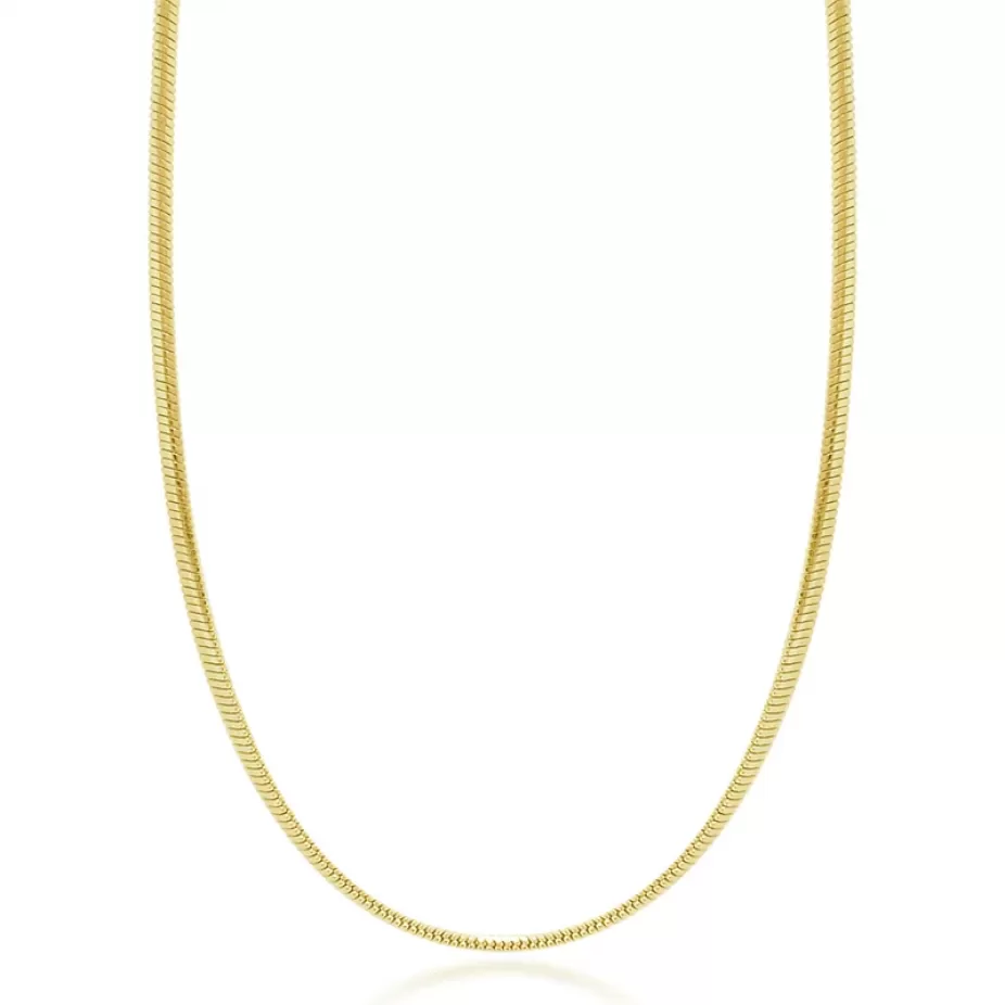 Colar Modelo Lacraia 45cm - Folheado a Ouro 18k